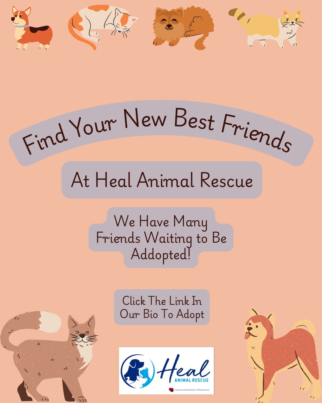 Ad concept 3 for Heal Animal Rescue.