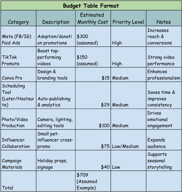 Budget plan table including Meta ads, TikTok promotes, production tools, software, and estimated monthly costs.